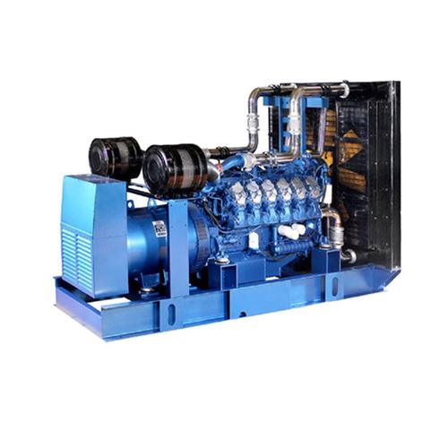 Chinese natural low oil gas generator set