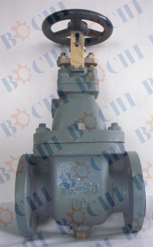 Marine JIS Cast Iron Gate Valve