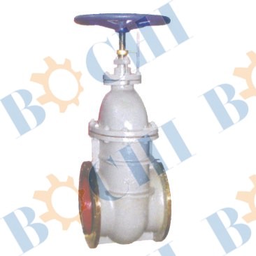 Iron Gate Valve