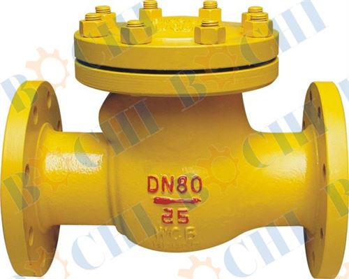 ASTM Class 150 Stainless Steel Swing Check Valve