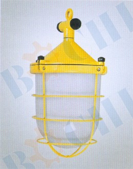 200W Marine Ceiling Light