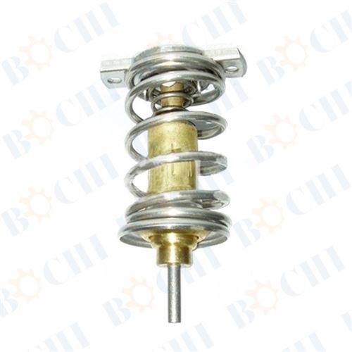 Selling Well all Over the World Thermostat for LADA 1118-1306010